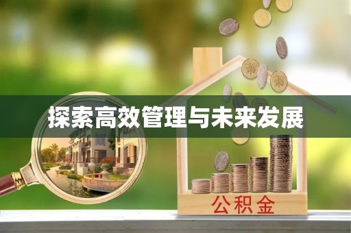 宿豫探索高效管理与未来发展