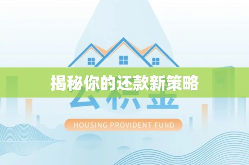 宿豫揭秘你的还款新策略