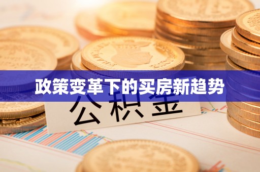 宿豫政策变革下的买房新趋势