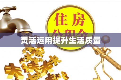 宿豫灵活运用提升生活质量