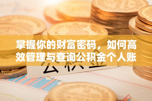宿豫掌握你的财富密码，如何高效管理与查询公积金个人账户信息
