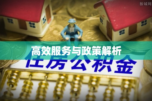 宿豫高效服务与政策解析