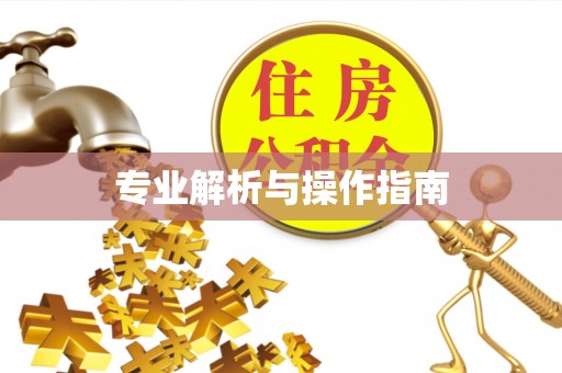宿豫专业解析与操作指南