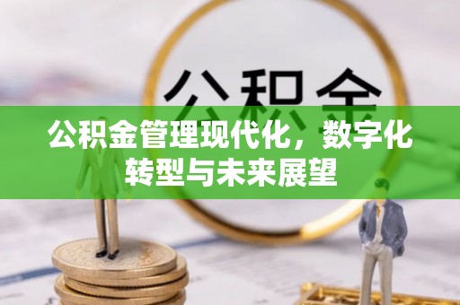 宿豫公积金管理现代化，数字化转型与未来展望