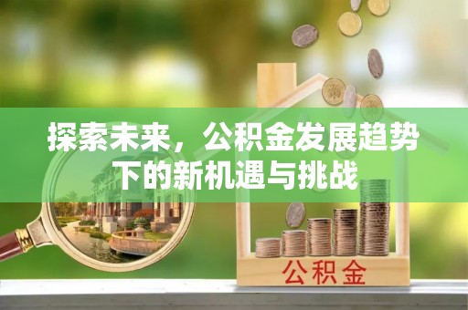 宿豫探索未来，公积金发展趋势下的新机遇与挑战