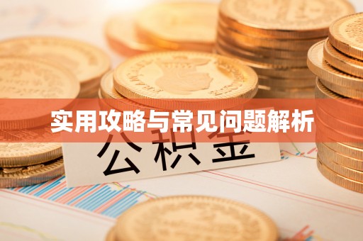 宿豫实用攻略与常见问题解析