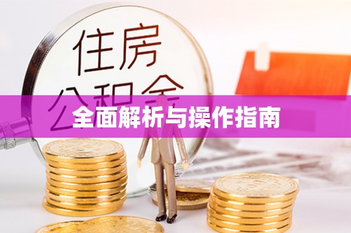 宿豫全面解析与操作指南