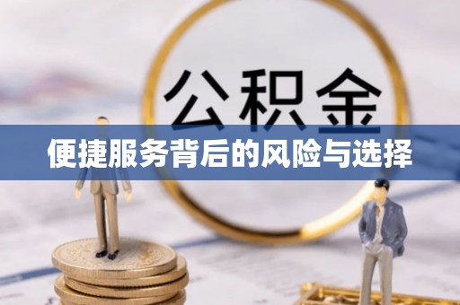 宿豫便捷服务背后的风险与选择